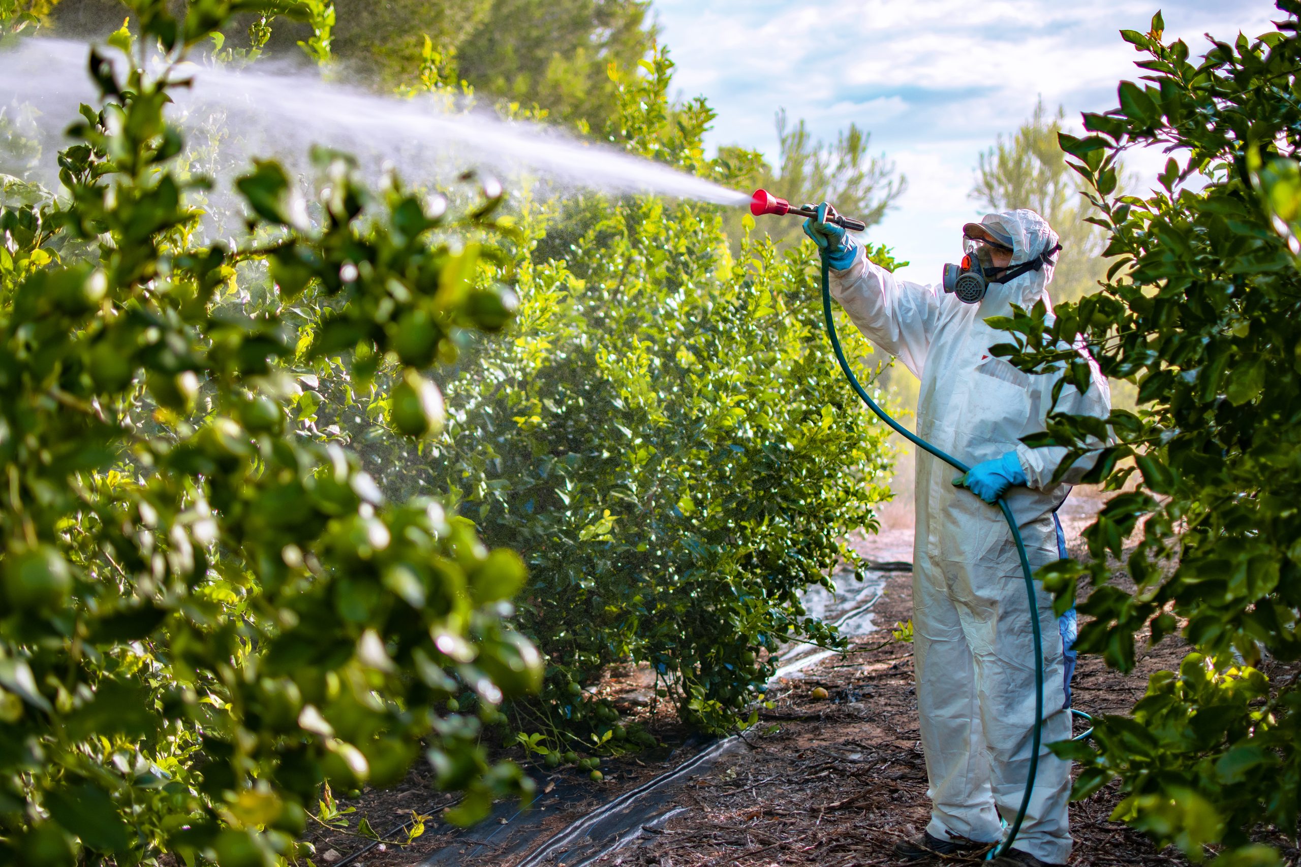 Nueva normativa del SAG sobre aplicación de plaguicidas genera críticas en la agroindustria